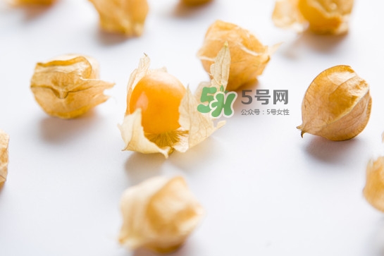 菇娘是寒性還是熱性？菇娘是哪里產(chǎn)的