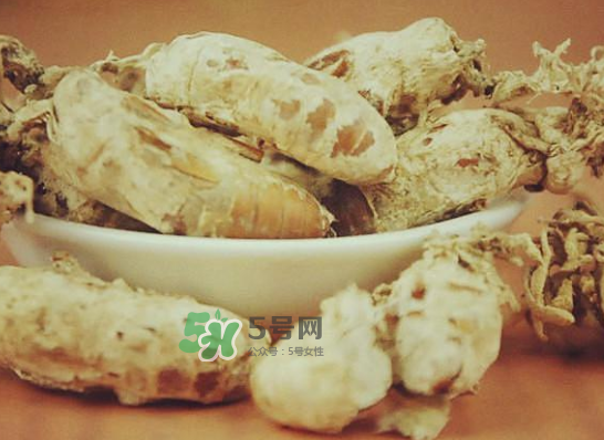野生金蟬花多少錢一只？野生金蟬花價(jià)格