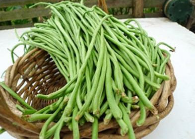 缸豆多少錢一斤2017？缸豆能和韭菜一起吃嗎？