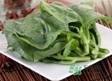 木耳菜和什么食物相克？木耳菜不能和什么一起吃