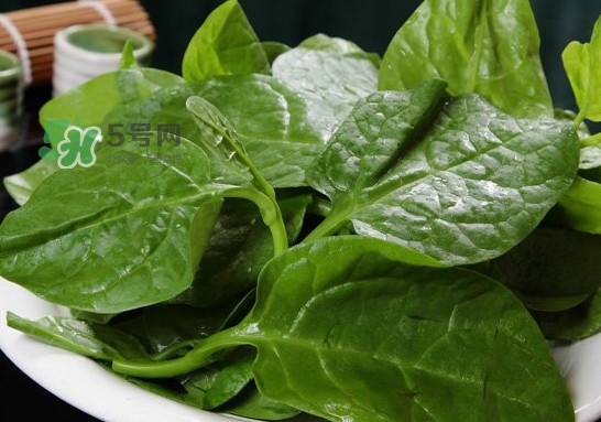 木耳菜可以生吃嗎？木耳菜可以涼拌嗎