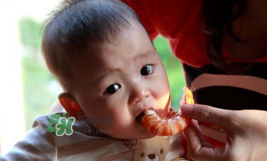 寶寶吃蝦不能和什么一起吃？寶寶吃蝦的注意事項(xiàng)