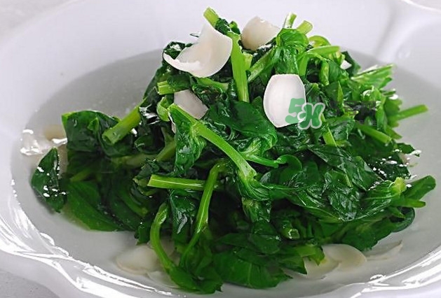 木耳菜是什么菜？木耳菜對人有哪些好處？