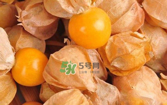 姑娘果怎么挑選？姑娘果產(chǎn)地在什么地方