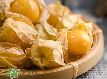 姑娘果可以直接吃嗎？姑娘果多吃有什么害處