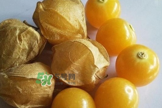 菇娘果皮有用還是果實(shí)有用？紅菇娘泡水喝用皮還是用果