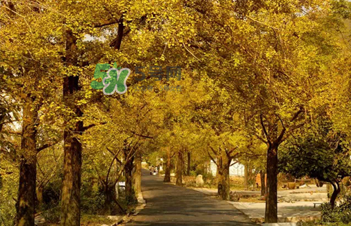 9月份去浙江穿什么？九月份去浙江穿什么衣服