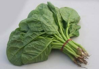 木耳菜怎么清洗？木耳菜怎么擇？