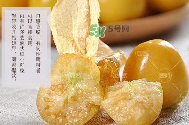 菇娘是寒性還是熱性？菇娘是哪里產(chǎn)的