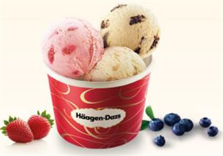 哈根達斯(H?agen-Dazs)柚子芝士蛋糕多少錢_好吃嗎？
