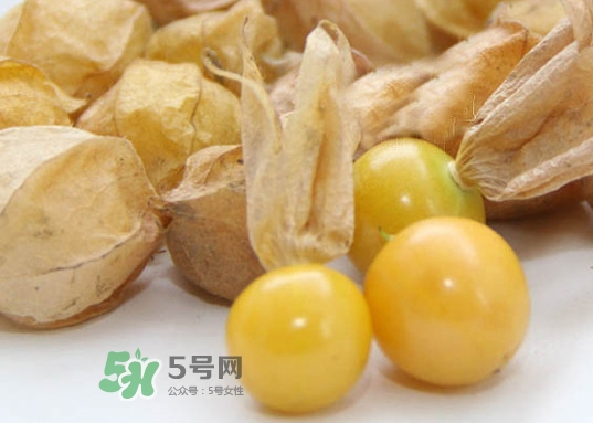黃菇娘幾月種植？黃菇娘的種植注意事項(xiàng)