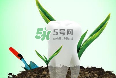 種植牙多少錢一顆？為什么種植牙很貴