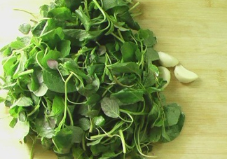 野莧菜怎么做好吃？野莧菜怎么保存