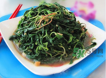 野莧菜怎么做好吃？野莧菜怎么保存