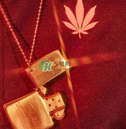 palm angels是什么牌子_哪個國家的_什么檔次？