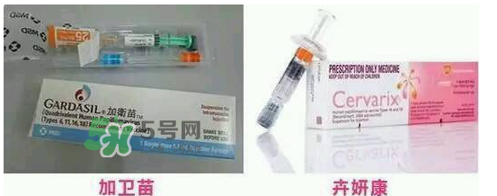 hpv疫苗9價(jià)4價(jià)2價(jià)有什么區(qū)別？hpv疫苗三款應(yīng)該怎么選？