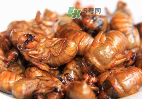 立秋后的知了還能吃嗎？立秋還有知了猴嗎？
