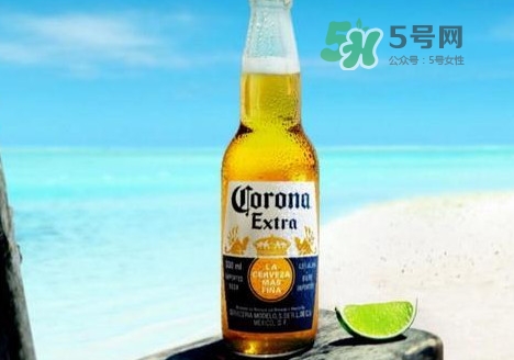 科羅娜啤酒多少錢一瓶？科羅娜啤酒好喝嗎