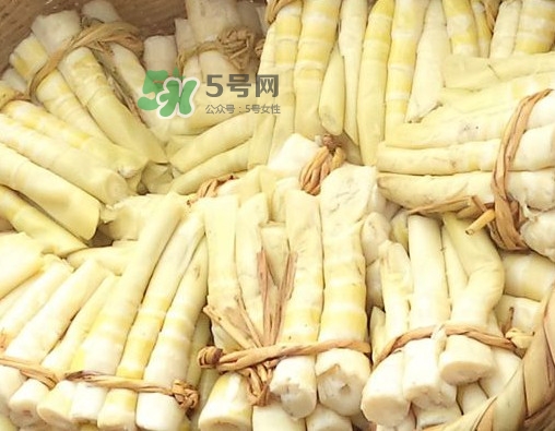 苦筍做法有哪些？苦筍怎么處理才不會(huì)苦