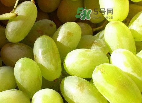 馬奶葡萄是提子嗎？馬奶葡萄怎么洗？