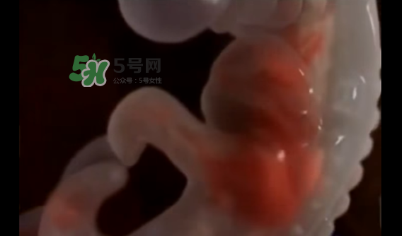 懷孕初期怎么保胎？陰道出血是流產(chǎn)征兆嗎？