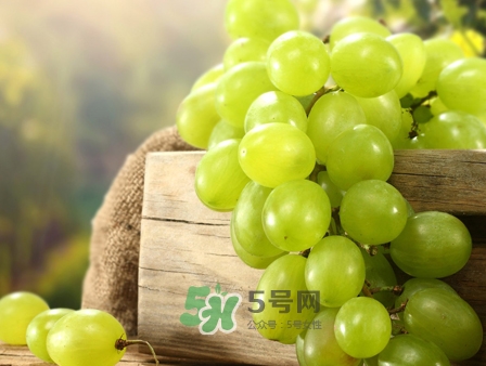 馬奶葡萄幾月成熟？吃馬奶葡萄有什么好處？