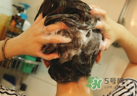 hair recipe水果洗發(fā)水怎么樣？hair recipe洗發(fā)水哪款好用