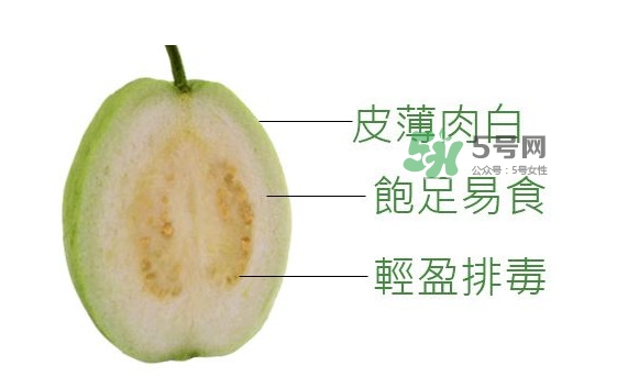 芭樂是什么季節(jié)的水果？芭樂什么時候吃最好