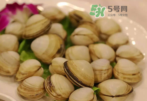 花蛤可以放冰箱冷凍嗎？花蛤放冰箱保鮮能吃嗎？