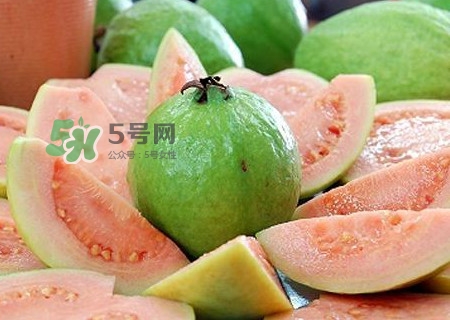芭樂皮能吃嗎？芭樂皮可以吃嗎