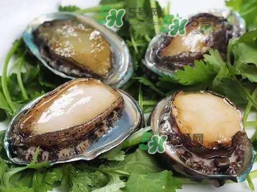 花蛤沒(méi)開(kāi)口能吃嗎？花蛤不張嘴是不是死了？