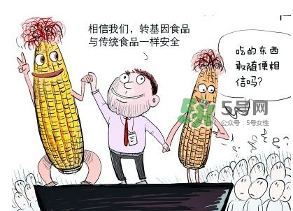 雜交水稻是不是轉(zhuǎn)基因？轉(zhuǎn)基因食品有哪些？