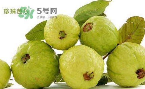 芭樂是什么季節(jié)的水果？芭樂什么時候吃最好