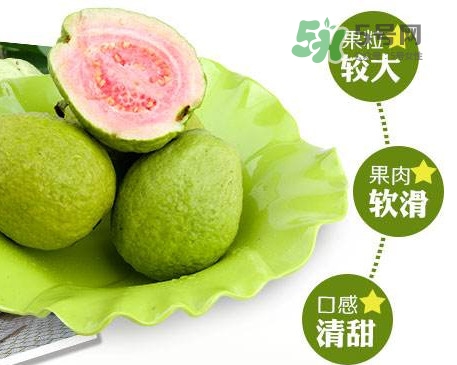 芭樂怎么挑選？如何挑選紅心芭樂
