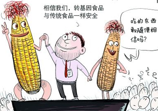 雜交水稻是不是轉(zhuǎn)基因？轉(zhuǎn)基因食品有哪些？