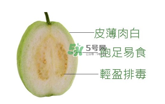 芭樂可以減肥嗎？吃芭樂可以喝牛奶嗎？