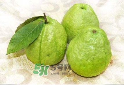 新鮮芭樂可以放幾天？芭樂能放多久