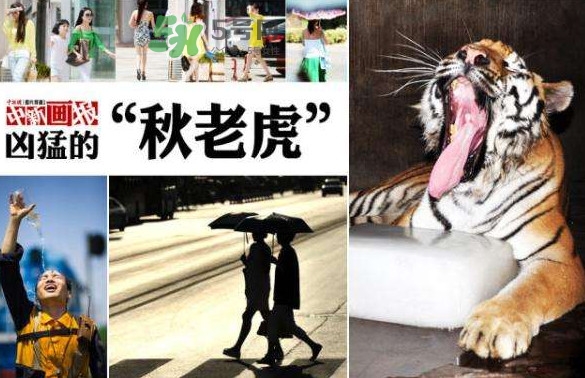 秋老虎有多熱？秋老虎一般是怎么算的？
