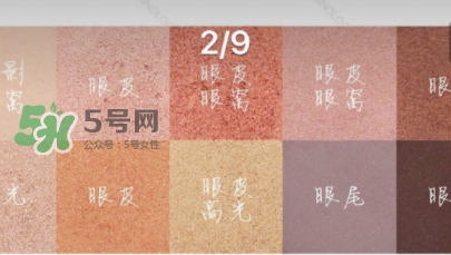 zoeva玫瑰金眼影盤怎么畫？zoeva rose golden畫法教程