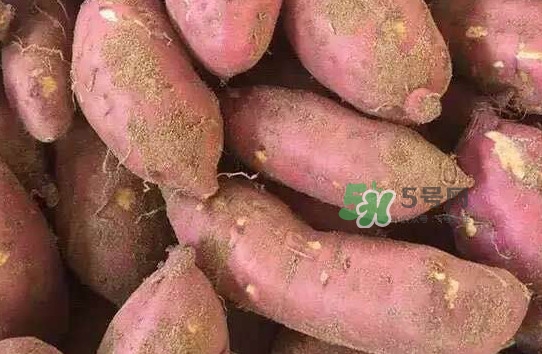 地瓜發(fā)芽了怎么種盆栽？拔絲地瓜怎么熬糖