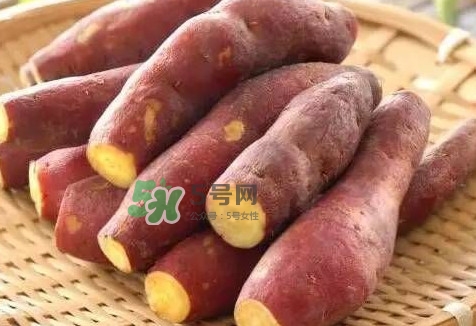 地瓜怎么做好吃？地瓜怎么吃好吃