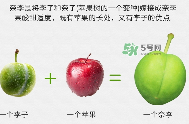 月經(jīng)期間可以吃奈李嗎？來(lái)月經(jīng)可以吃奈李嗎