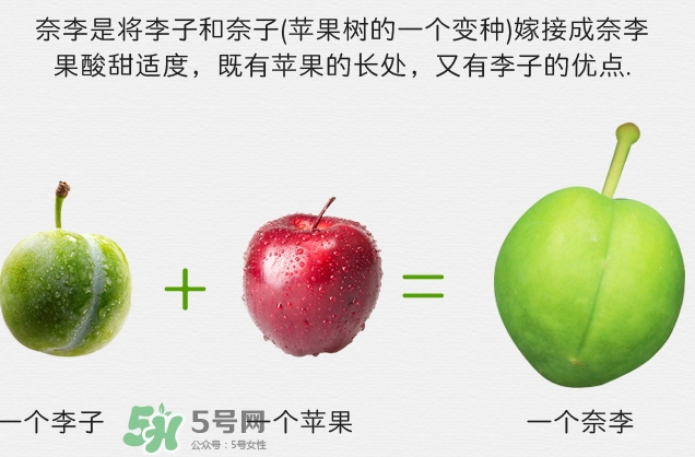 寶寶可以吃奈李嗎？寶寶多大可以吃奈李