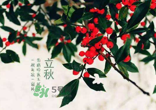 立秋為什么在處暑前？為什么立秋早過(guò)處暑？