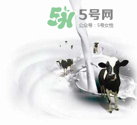 牛初乳孕婦可以吃嗎？牛初乳產婦可以吃嗎？