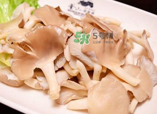 秀珍菇孕婦可以吃嗎？孕婦能吃秀珍菇嗎