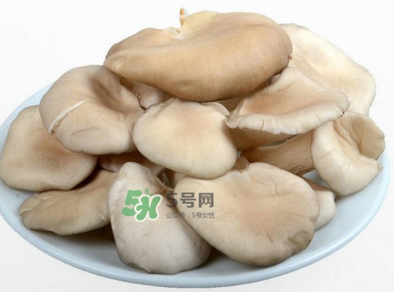 秀珍菇可以和海帶一起吃嗎？海帶能和秀珍菇一起吃嗎