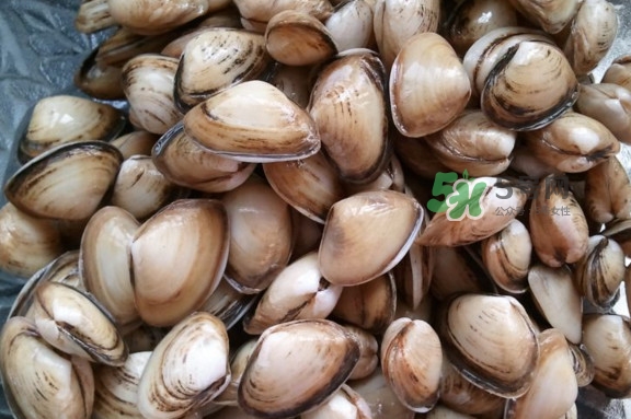 海瓜子多少錢一斤？西湖撈起的海瓜子能吃嗎