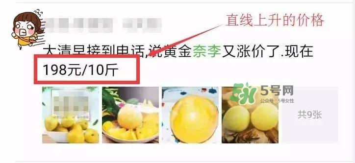黃金奈李多少錢(qián)一斤？黃金奈李價(jià)格