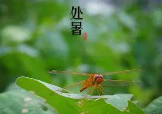 立秋為什么在處暑前？為什么立秋早過處暑？